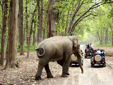 Corbett National Park